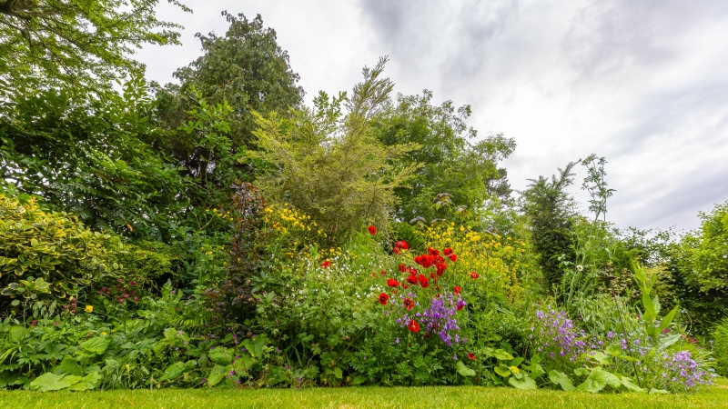 Hall Green Gardens